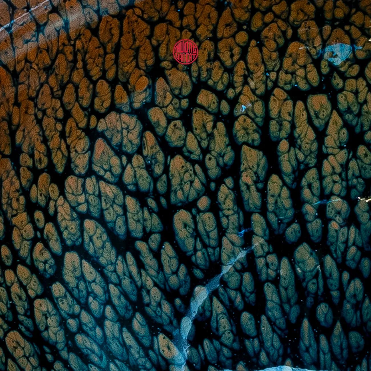 CHÉN TRÀ THIÊN MỤC THỐ HÀO CAO CẤP thumbnail 4