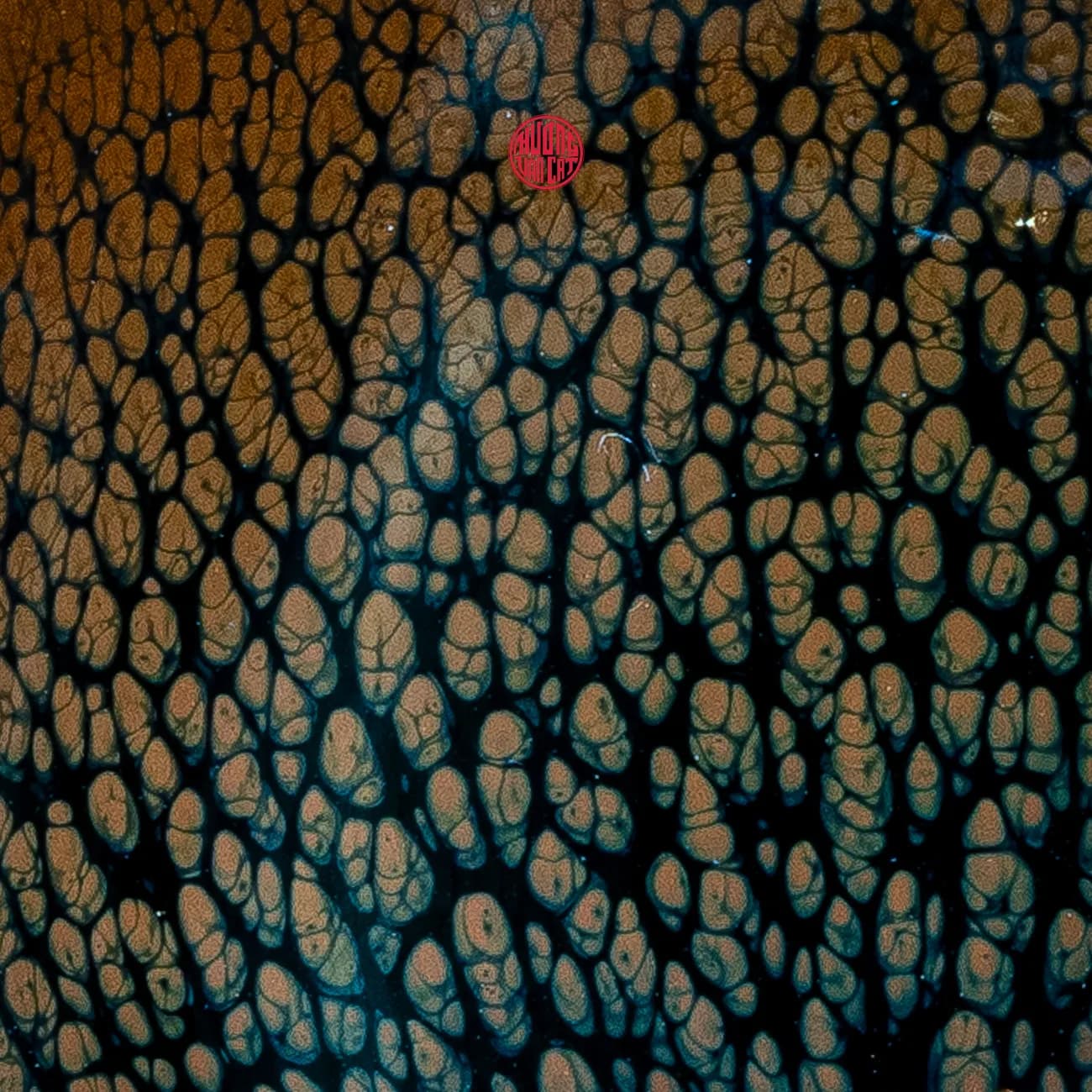 CHÉN TRÀ THIÊN MỤC DU TRÍCH KHỔNG TƯỚC VŨ ( Mẫu 2 ) thumbnail 4