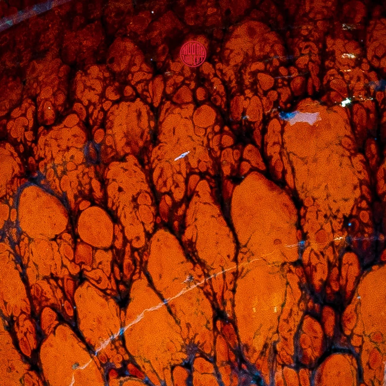 CHÉN TRÀ THIÊN MỤC HỒNG VŨ KHỔNG TƯỚC thumbnail 4